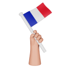 hand-holding-flag-of-france.png