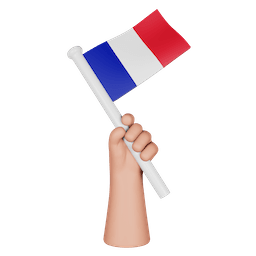 hand-holding-flag-of-france (1).png